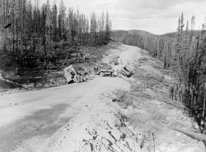 Troops and operational equipment travel on a road built by the black soldiers of the 93rd Regiment.